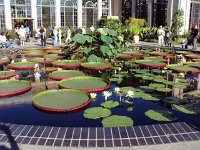 photos 2000-200902607